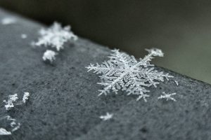 Snowflakes resting on a stone