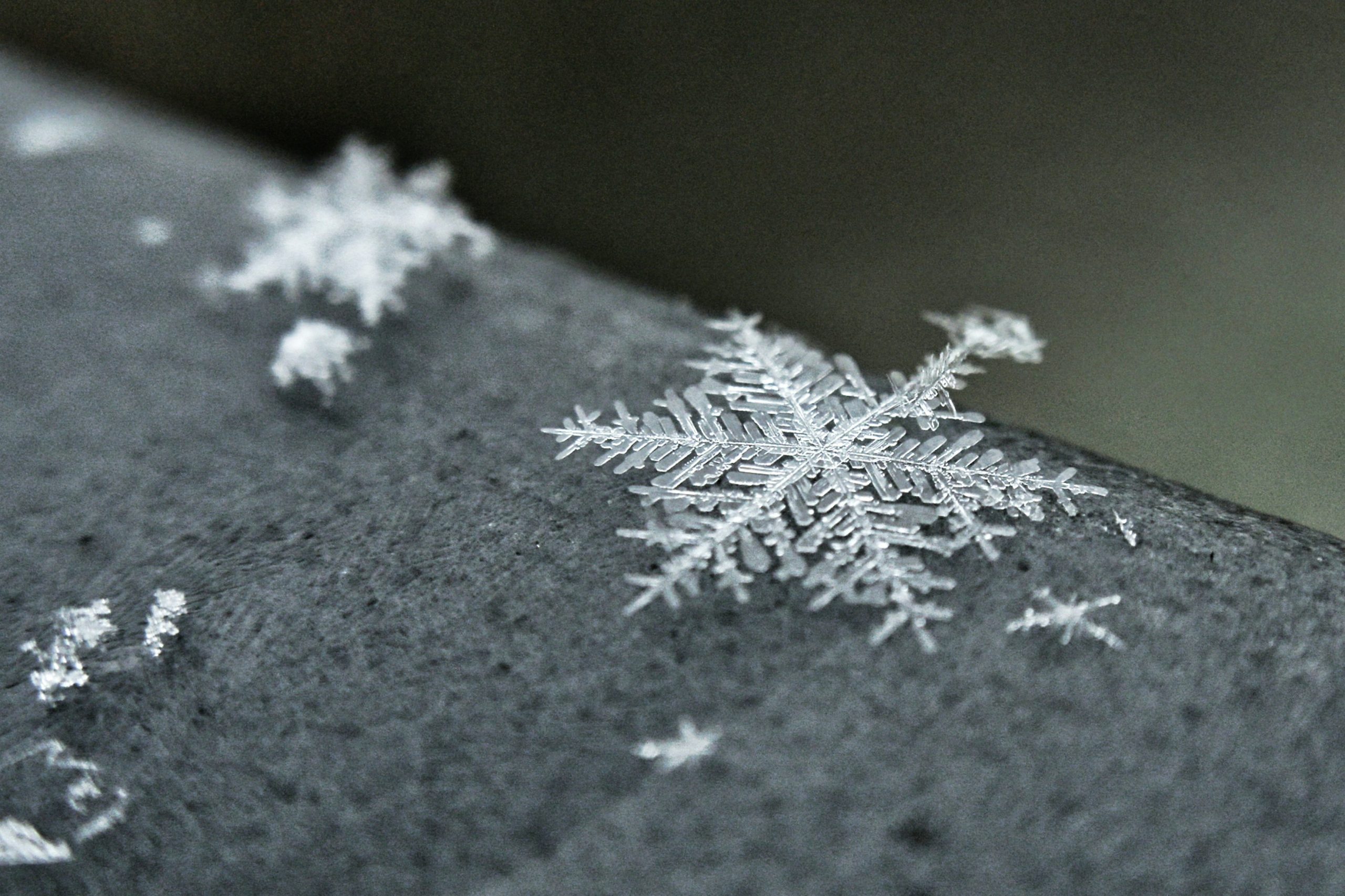 Snowflakes resting on a stone