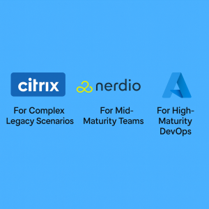 Citrix Nerdio or Native AVD
