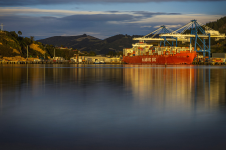 Port Otago and Arinco