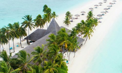 Photo by Shifaaz shamoon on Unsplash