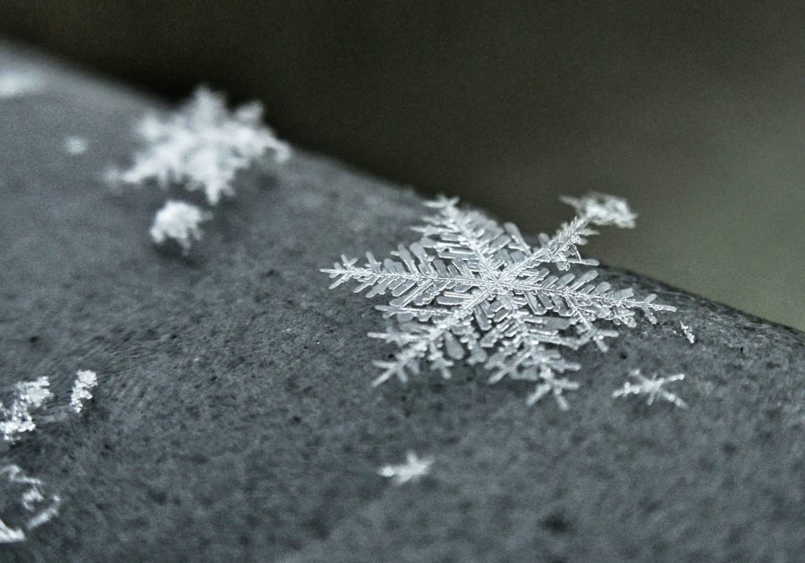 Integrating Snowflake into Microsoft Fabric Snowflakes resting on a stone